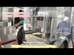 ZP17B মুরগির কিউব এফেরভেসেন্ট পিল ট্যাবলেট প্রেস মেশিন