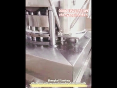 ZPW19 দ্বৈত রঙের ডিশওয়াশার পিল প্রেস মেশিন ২ স্তরীয় ইফারভেসেন্ট ট্যাবলেট প্রস্তুতকারক