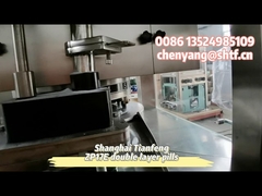 জেডপি১৫ই জেডপি১৭ই দ্বি-স্তরীয় পিল প্রেস মেশিন