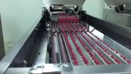 60ml 80ml 100ml বোতলগুলির জন্য 1 বছরের ওয়ারেন্টি সহ উচ্চ-গতির 380V ফার্মাসিউটিক্যাল বোতল ভর্তি উৎপাদন লাইন