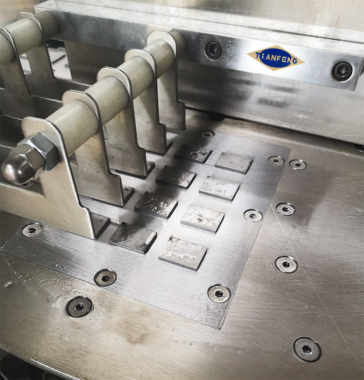 ZPW-4-4 ZPW-4-2 হারবাল কম্প্রেসড বিস্কুটের জন্য স্বয়ংক্রিয় পিল প্রেস 200 - 300 কেজি/ঘণ্টা